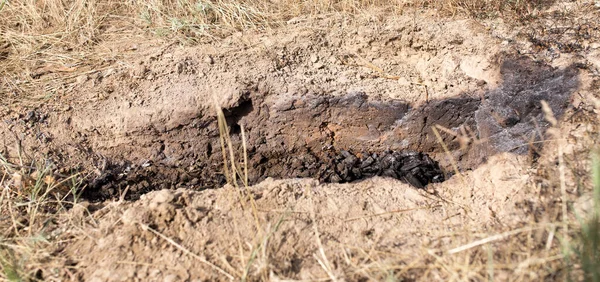 Topraktaki Ateş Çukuru Doğadaki Parkta — Stok fotoğraf