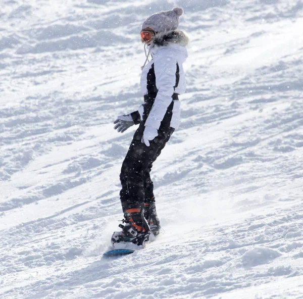 Hombre Snowboard Nieve Parque Naturaleza —  Fotos de Stock