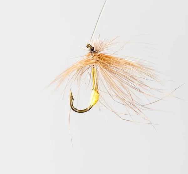 Fly Fishing White Background — Stock Photo, Image