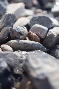 Doğada göl taşları. Doğadaki parkta.