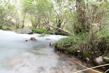Dağlardaki güzel nehir. Doğadaki parkta.