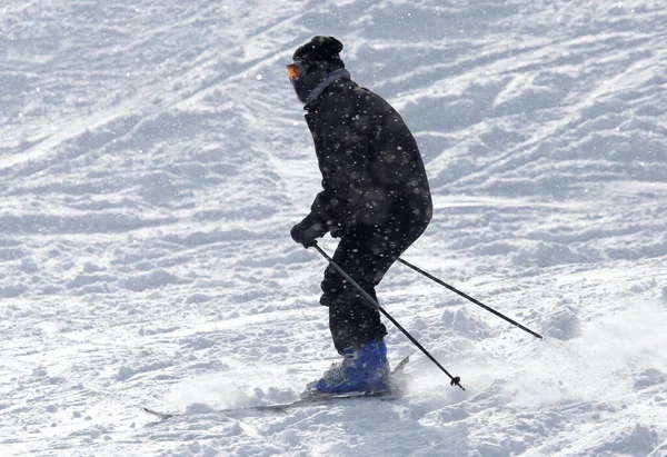 Persone Che Sciano Sulla Neve Nel Parco Nella Natura — Foto Stock