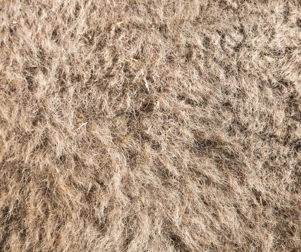 Верблюжья Шерсть Качестве Фона Фотография Абстрактной Текстуры — стоковое фото