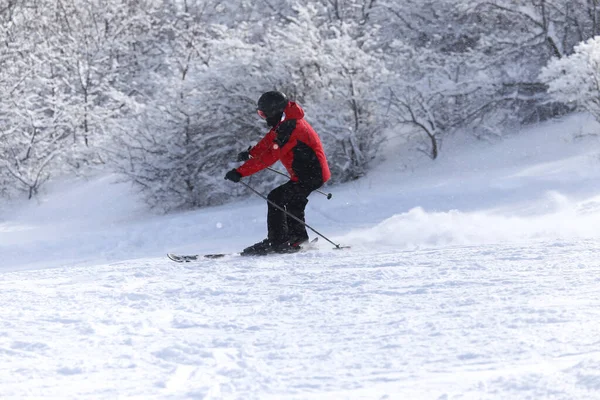 冬天人们在雪地里滑雪 — 图库照片