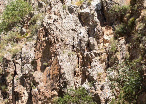 Rockig Sten Som Bakgrund Parken Naturen — Stockfoto