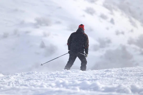 Skifahrer Hochgebirge Park Der Natur — Stockfoto