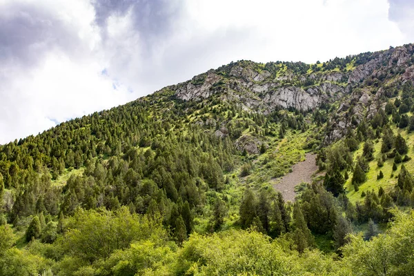 Naturaleza Las Montañas Kazajstán Parque Naturaleza —  Fotos de Stock