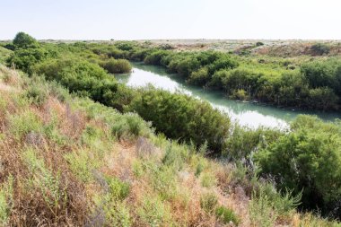 Kazakistan 'daki Bugun Nehri. Doğadaki parkta.