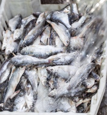 Arka plan olarak tuzlu balık. Soyut bir dokunun fotoğrafı