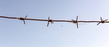 Mavi gökyüzüne karşı dikenli tel. Doğadaki parkta.
