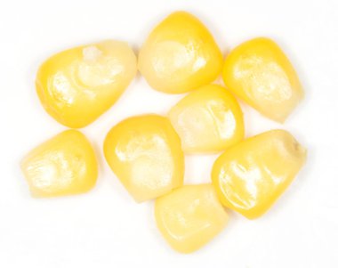 Beyaz arka planda mısır. Yakın plan. Fotoğraflar stüdyoda.