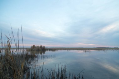Gölde güzel bir gün doğumu. Doğadaki parkta.