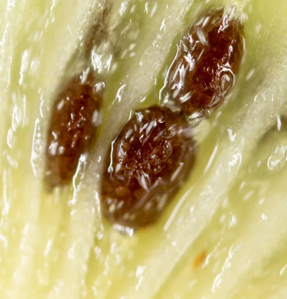 Juicy Kiwi Background Macro Photo Abstract Texture — Stock Photo, Image