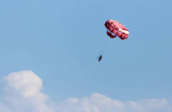 Parachute Beach Park Nature — Stock Photo, Image