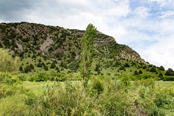 Kazakistan Dağlarında Doğa Doğadaki Parkta — Stok fotoğraf