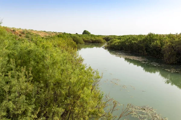 Rivière Bugun Kazakhstan Dans Parc Dans Nature — Photo