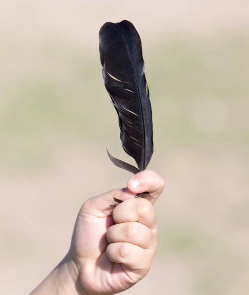 Una Pluma Mano Parque Naturaleza —  Fotos de Stock