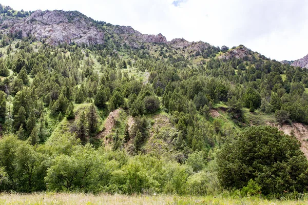 Natuur Bergen Van Kazachstan Het Park Natuur — Stockfoto