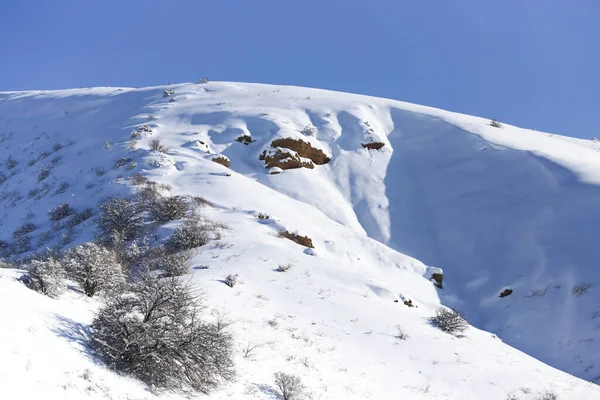 Mooie Tien Shan Bergen Sneeuw Winter — Stockfoto