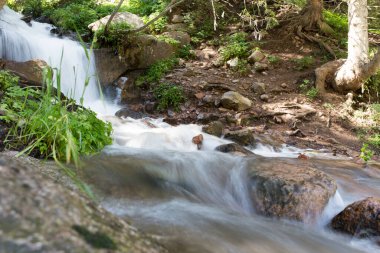 Doğadaki güzel şelale. Doğadaki parkta.