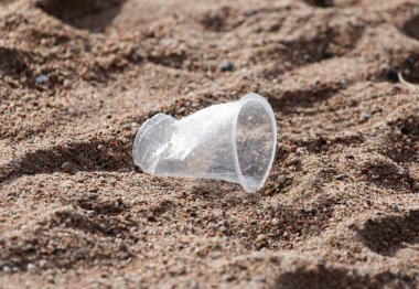 Plastik bardak kumun üzerinde. Doğadaki parkta.