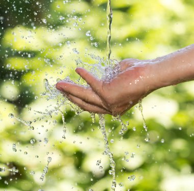 Doğada suyu teslim etmek. Doğadaki parkta.