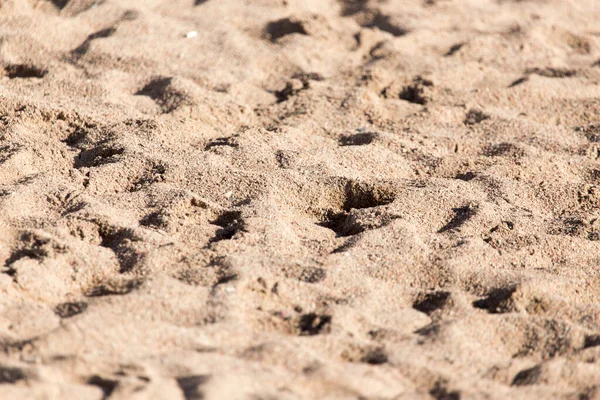 Het Zand Het Strand Als Achtergrond — Stockfoto