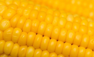 Arkaplan olarak sarı mısır. Makro. Soyut bir dokunun fotoğrafı