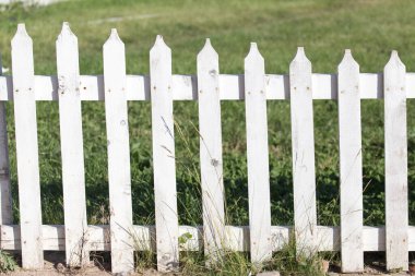 Doğanın beyaz tahta çiti. Doğadaki parkta.