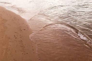 Denizin kumlu kıyısı bir zemin gibi .