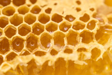 Tarakta taze bal var. Makro. Soyut bir dokunun fotoğrafı