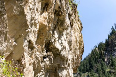 Dağlarda kayalık bir yamaç. Doğadaki parkta.