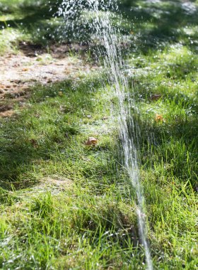 Çimleri doğada sulamak. Doğadaki parkta.
