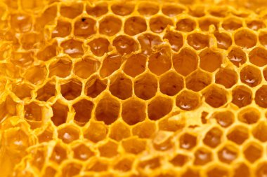 Tarakta taze bal var. Makro. Soyut bir dokunun fotoğrafı