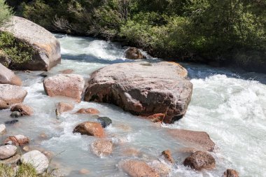 Dağ nehrindeki dalgalı su. Doğadaki parkta.