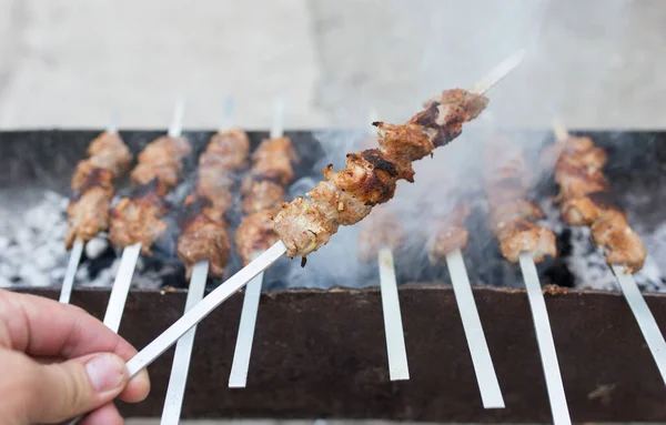 Brochettes Grillées Sur Gril Dans Parc Dans Nature — Photo