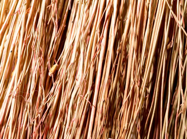 Broom Background Photo Abstract Texture — Stock Photo, Image