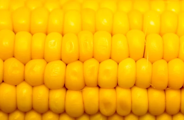 Yellow Corn Background Macro Photo Abstract Texture — Stock Photo, Image