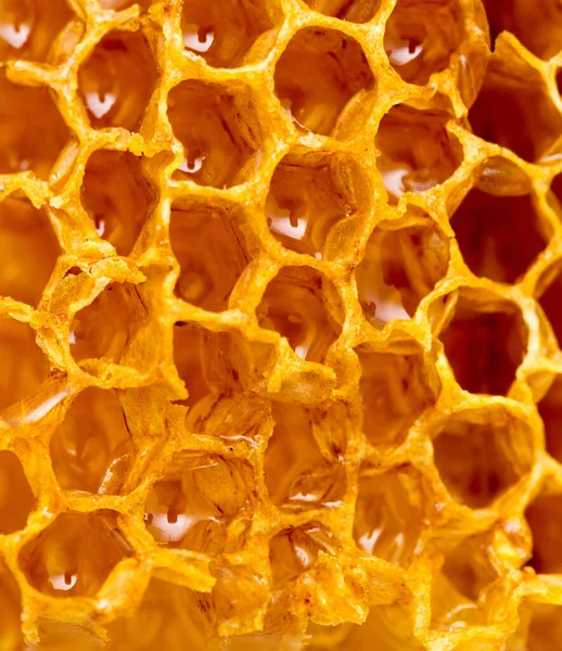櫛の中の新鮮な蜂蜜 マクロだ 抽象的な質感の写真 — ストック写真