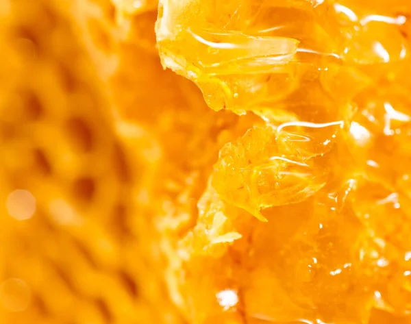 Fresh Honey Comb Macro Photo Abstract Texture — Stock Photo, Image