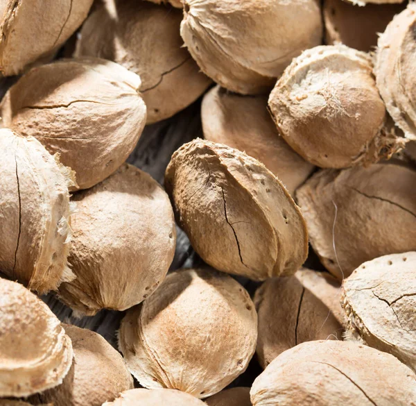 Las Nueces Los Albaricoques Como Fondo Parque Naturaleza —  Fotos de Stock