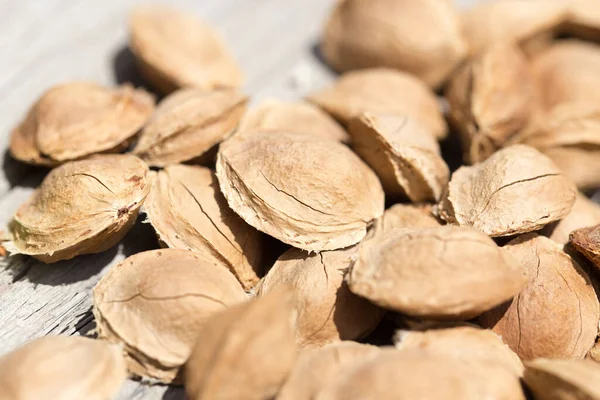 Nuts Apricots Background Park Nature — Stock Photo, Image