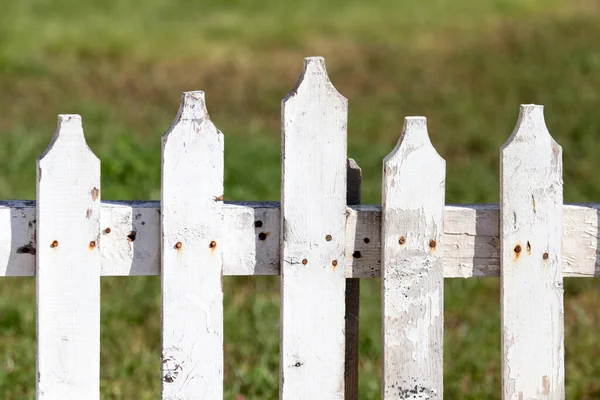 Vitt Trästaket Naturen Parken Naturen — Stockfoto