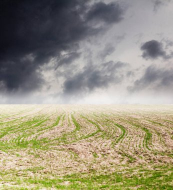 Yağmurdan önce arka planda güzel bulutlar .