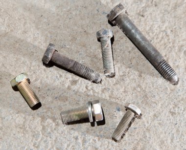 Eski civatalar. Doğadaki parkta.