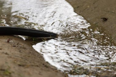 Su hortumdan yere akar. .