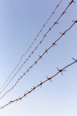 Mavi gökyüzüne karşı dikenli tel. Doğadaki parkta.