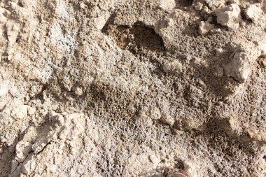 arka plan olarak toprakta tuz .