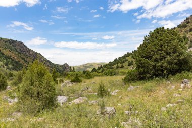 Kazakistan 'ın dağlarında güzel doğa .