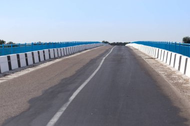 Arka plan olarak asfalt yol. Doğadaki parkta.